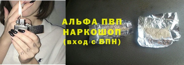 ГАЛЛЮЦИНОГЕННЫЕ ГРИБЫ Корсаков