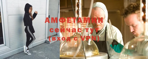 ГАЛЛЮЦИНОГЕННЫЕ ГРИБЫ Корсаков