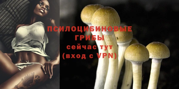 мет Козельск