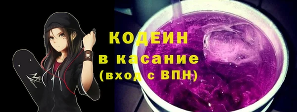 гидра Коряжма