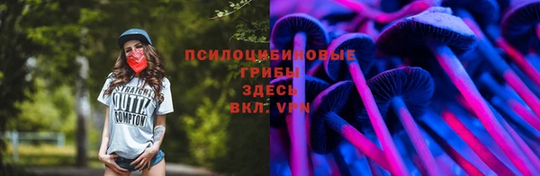 ECSTASY Кодинск