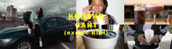 ГАЛЛЮЦИНОГЕННЫЕ ГРИБЫ Корсаков