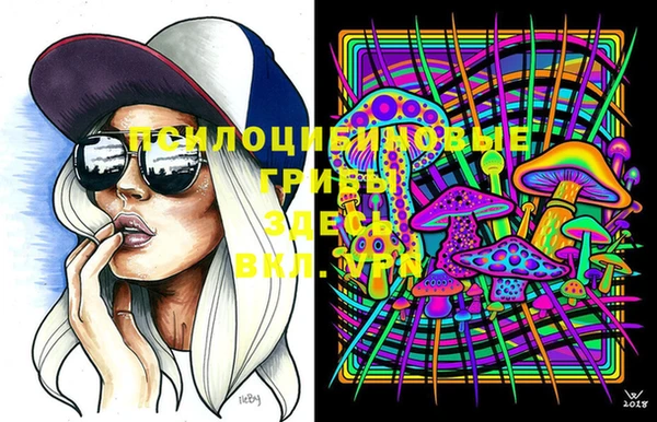 ГАЛЛЮЦИНОГЕННЫЕ ГРИБЫ Корсаков