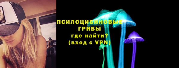 ECSTASY Кодинск
