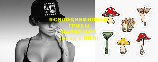 гидра Коряжма