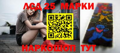 гидра Будённовск