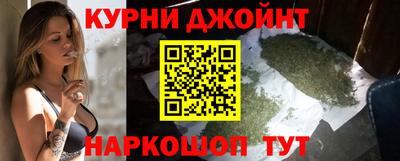 гидра Будённовск