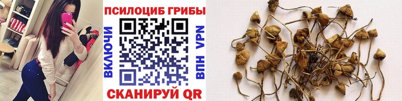 Псилоцибиновые грибы мицелий  как найти наркотики  OMG маркетплейс  Златоуст 