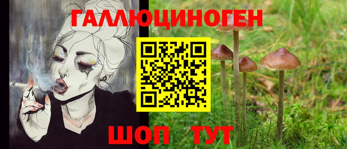 Галлюциногенные грибы мицелий Златоуст