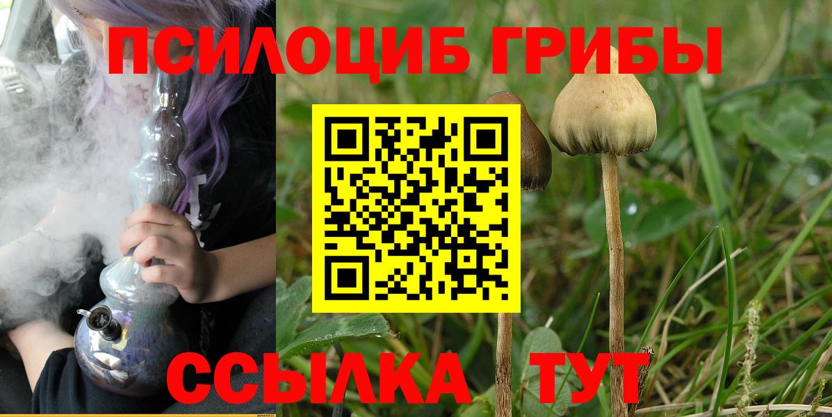 Галлюциногенные грибы GOLDEN TEACHER Златоуст