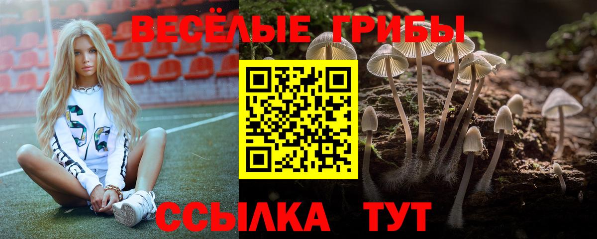 МЕФ Златоуст