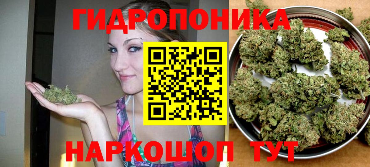 Конопля гибрид  Бошки Шишки AK-47  Каннабис индика  Златоуст 